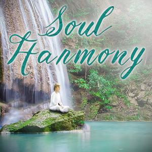 SOUL HARMONY