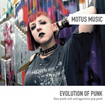 Evolution of Punk