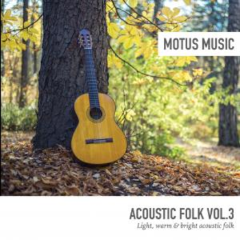 Acoustic Folk Vol.3