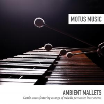 Ambient Mallets