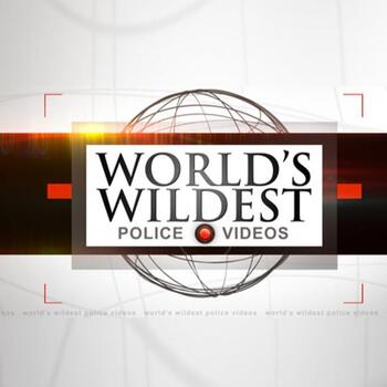 World's Wildest Police Videos 9