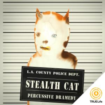 Stealth Cat