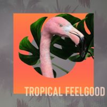 TROPICAL FEELGOOD