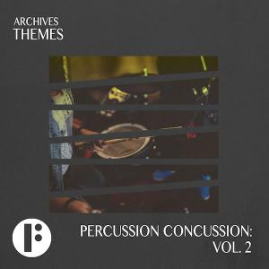 Percussion Concussion Vol 2