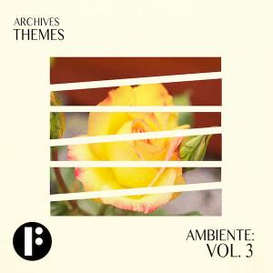 Ambiente Vol 3