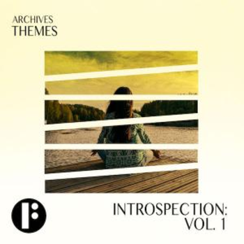 Introspection Vol 1