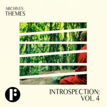 Introspection Vol 4