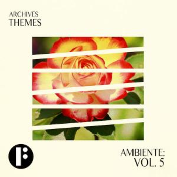 Ambiente Vol 5