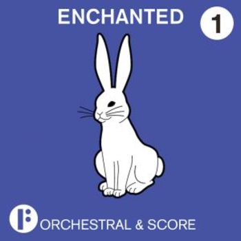 _Orchestral and Score - Enchanted Vol 1