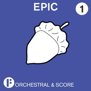 Orchestral and Score - Epic Vol 1