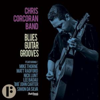 Blues Guitar Grooves