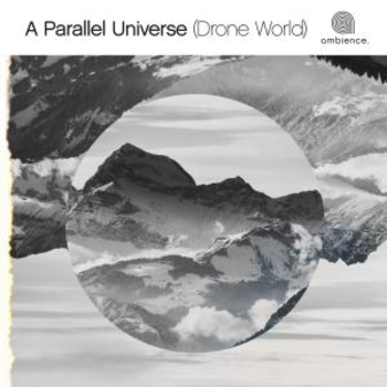 Drone Worlds - A Parallel Universe