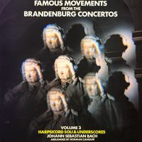 BRANDENBURG CONCERTOS VOL.3 - UNDERSCORES