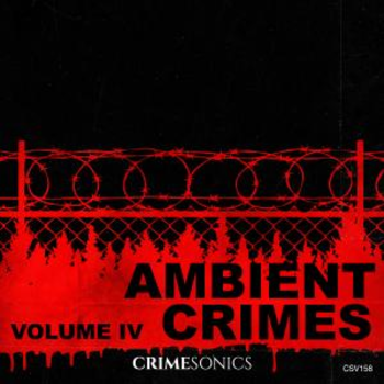 Ambient Crime IV