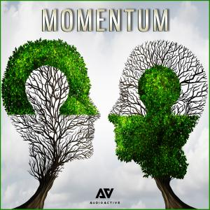 Momentum