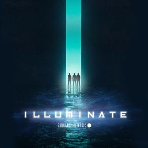  Illuminate