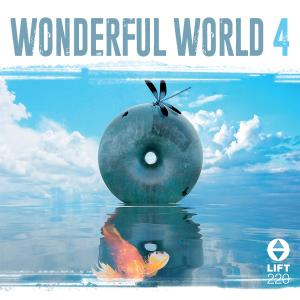 Wonderful World 4