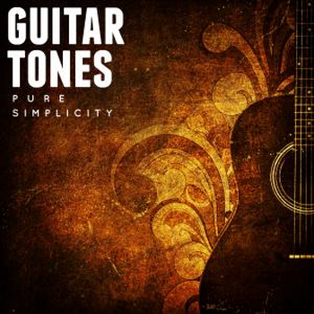 GUITAR TONES pure simplicity