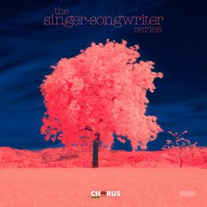 The Singer Songwriter Series