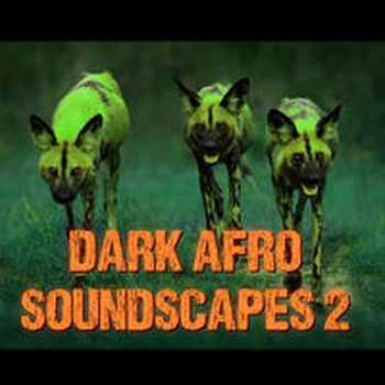 DARK AFRO SOUNDSCAPES 2
