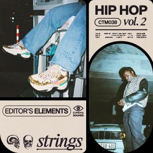 Epic Hip Hop Sound Design Vol 2 Strings