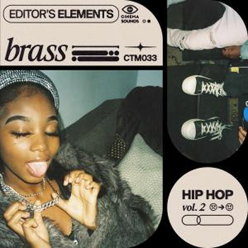 Epic Hip Hop Sound Design Vol 2 Brass