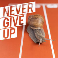 NEVER GIVE UP