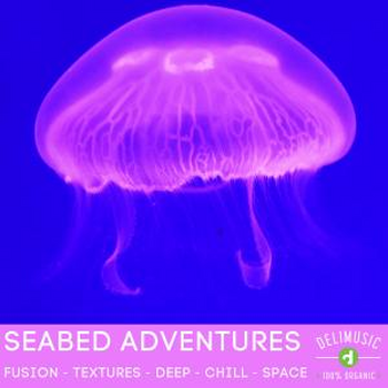 SEABED ADVENTURES