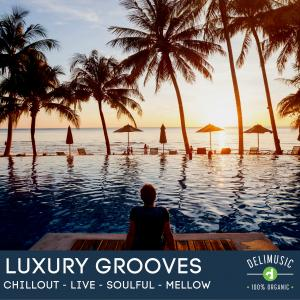 Luxury Grooves