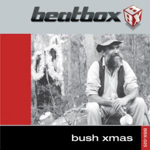 Bush Xmas