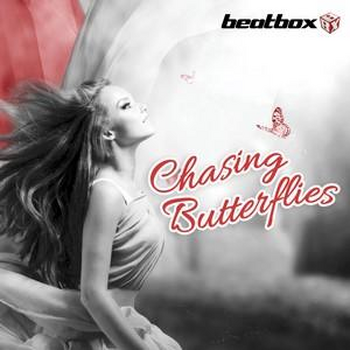 Chasing Butterflies