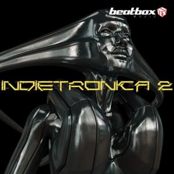 Indietronica 2