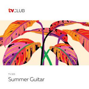 Summer Guitar