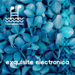 Exquisite Electronica