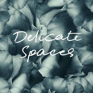 Delicate Spaces