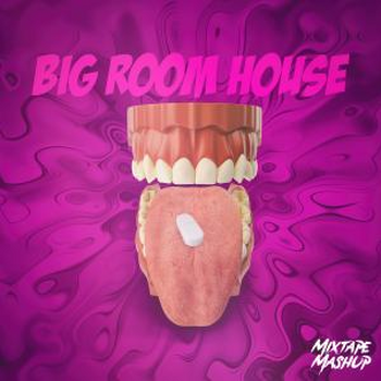 Big Room House