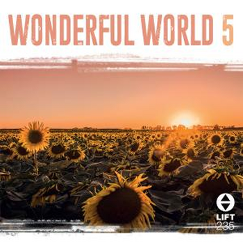 Wonderful World 5