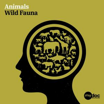 Animals - Wild Fauna