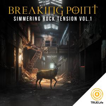 Breaking Point - Simmering Rock Tension Vol. 1
