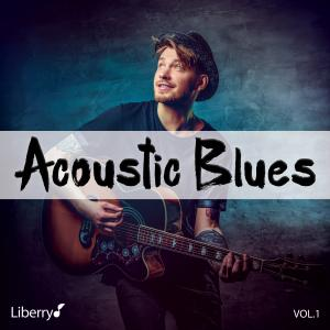 Acoustic Blues - Vol. 1