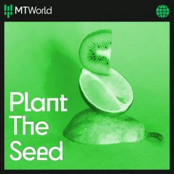  Plant the seed