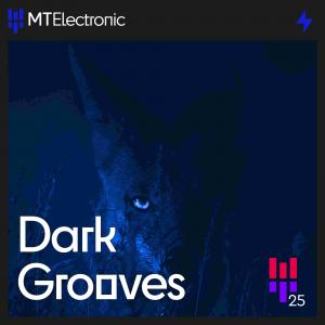 Dark Grooves