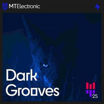 Dark Grooves