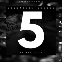 Signature Sounds - In All Keys (vol. 5)