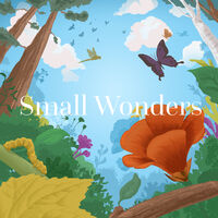 SMALL WONDERS