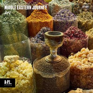 APL 484 Middle Eastern Journey