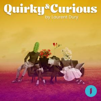 Quirky & Curious