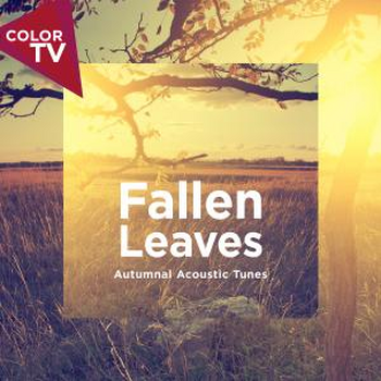 Fallen Leaves