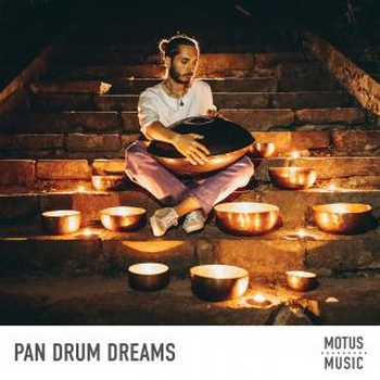 Pan Drum Dreams