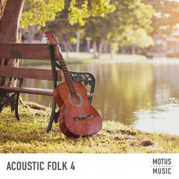 Acoustic Folk Vol.4